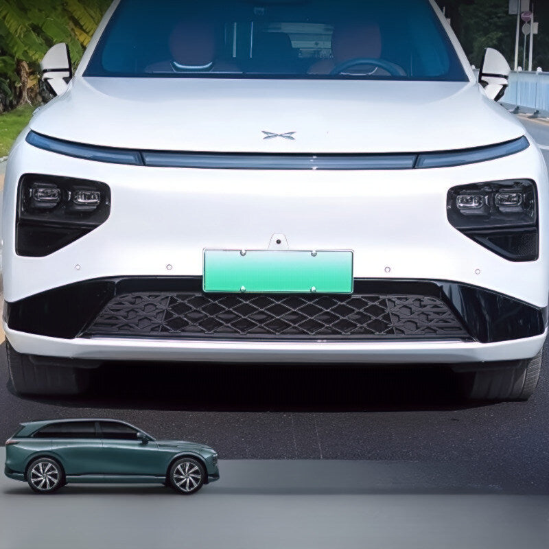 G9  Front Lower Bumper Insect Proof Net