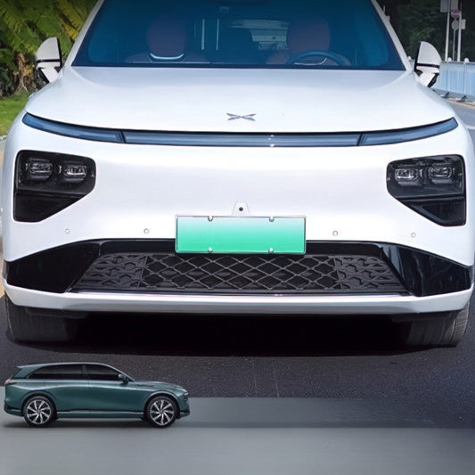 G9  Front Lower Bumper Insect Proof Net