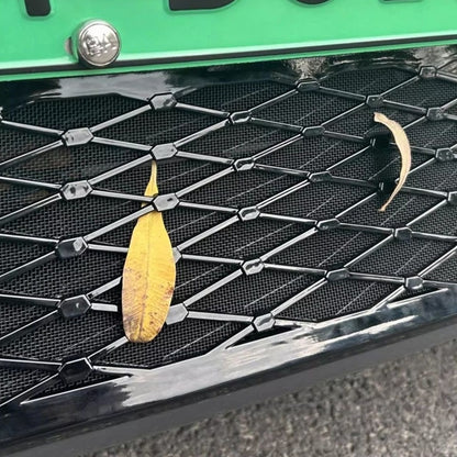 Grille Proof Net for XPENG G6