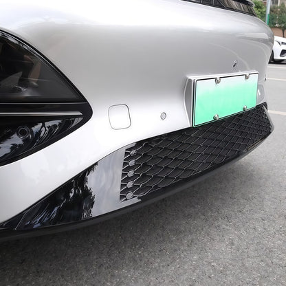 Grille Proof Net for XPENG G6