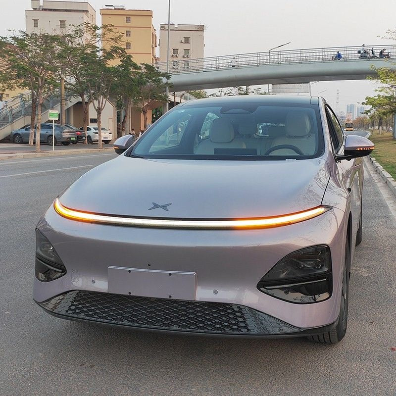 Grille Proof Net for XPENG G6