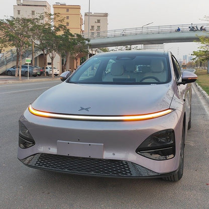 Grille Proof Net for XPENG G6