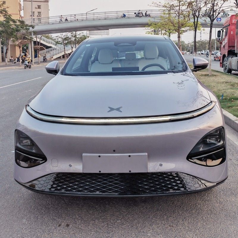 Grille Proof Net for XPENG G6
