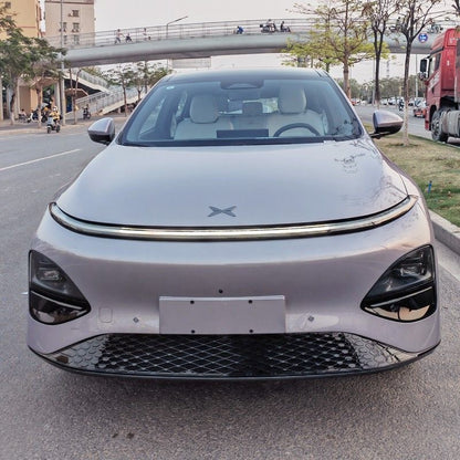 Grille Proof Net for XPENG G6