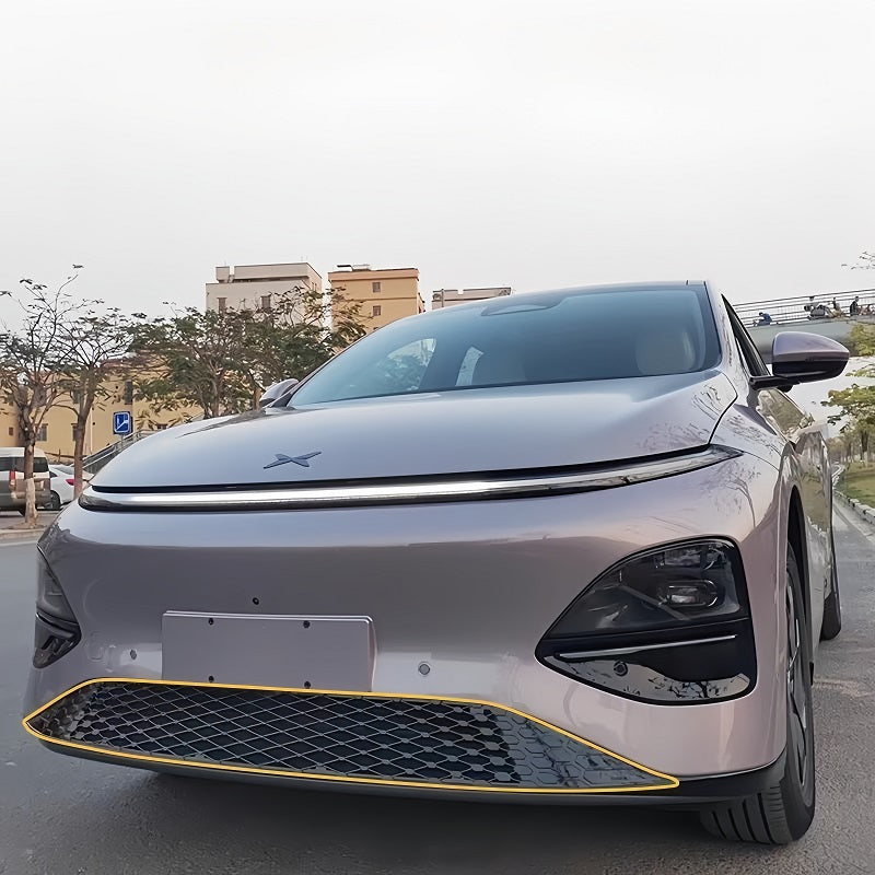 Grille Proof Net for XPENG G6