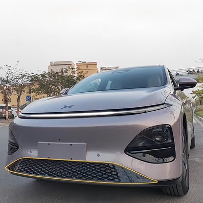 Grille Proof Net for XPENG G6